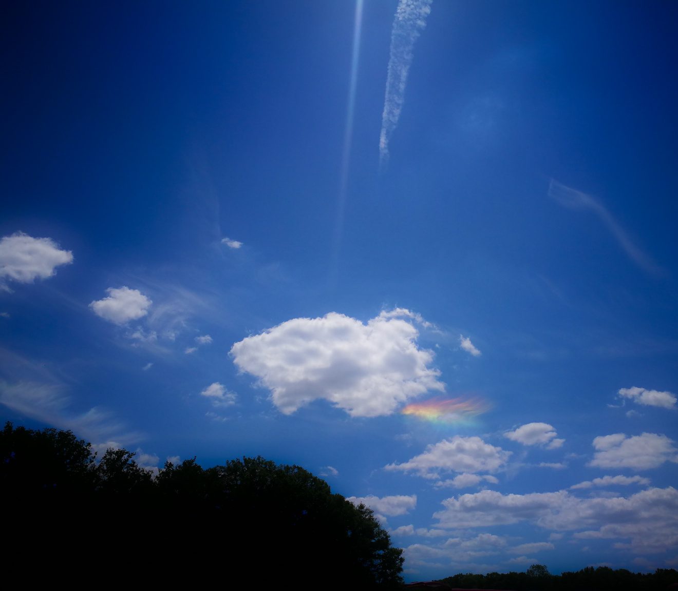le spectacle vivant d-une Arche en ciel le spectacle d'une sorte d'arche en ciel.